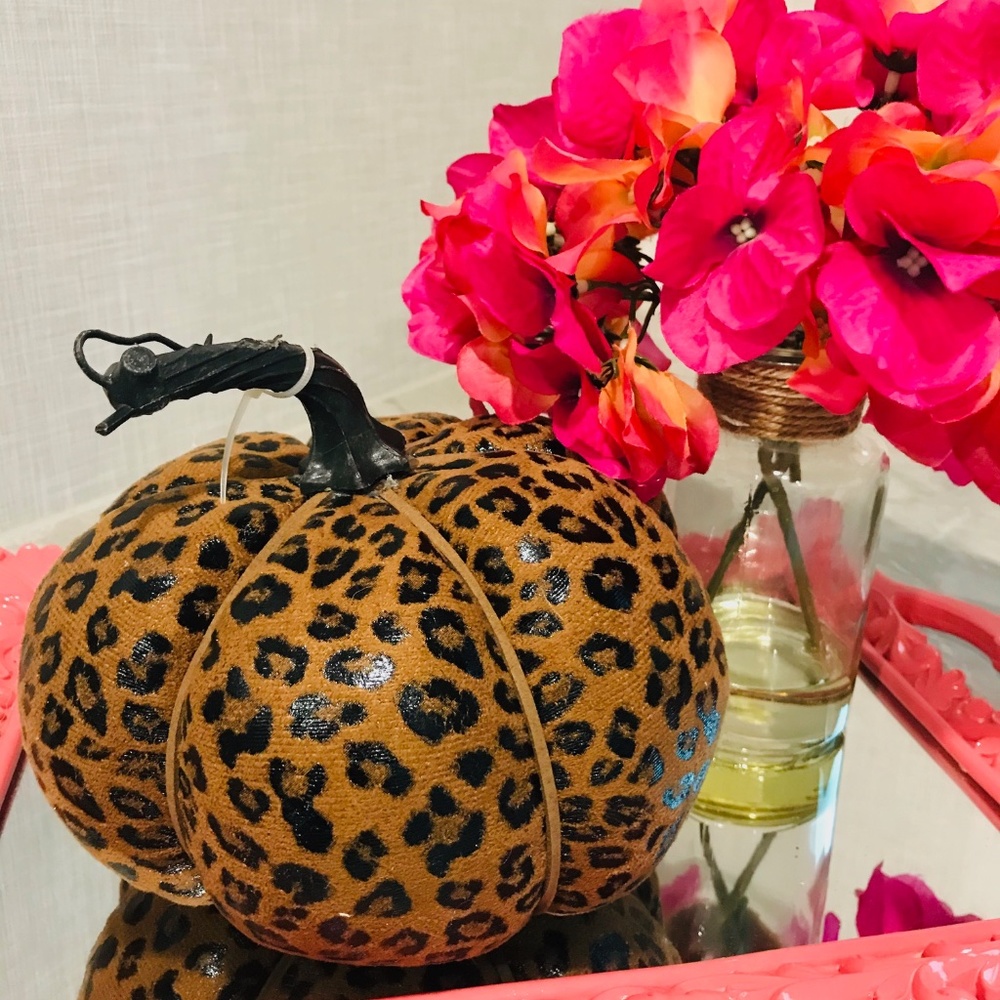 🆕Robert Stanley Cheetah Patterend Pumpkin-NWT